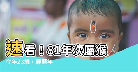 81年次屬猴|屬猴年份｜2024年幾歲？屬猴出生年份+歲數一